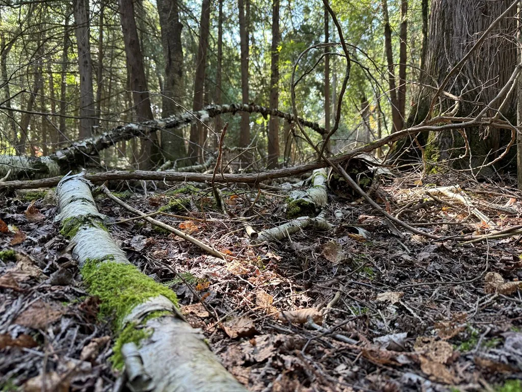 Lot 3 Point Circle Dr, Egg Harbor Wi 54209, ,Unimproved Land,For Sale,Point Circle Dr,143264