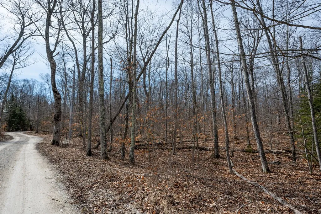 T/b/d All Creatures Ln, Baileys Harbor Wi 54202, ,Unimproved Land,For Sale,All Creatures Ln,141534