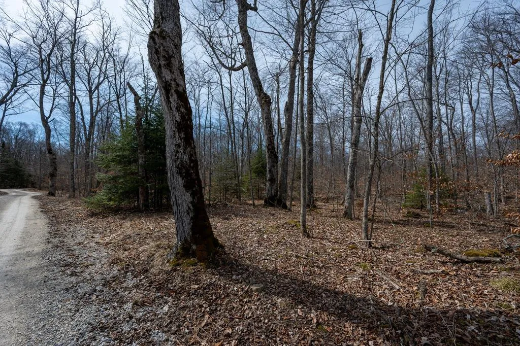T/b/d All Creatures Ln, Baileys Harbor Wi 54202, ,Unimproved Land,For Sale,All Creatures Ln,141534