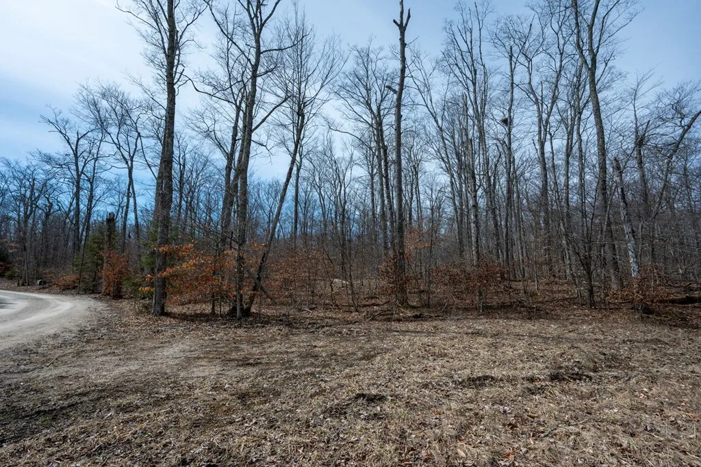 T/b/d All Creatures Ln, Baileys Harbor Wi 54202, ,Unimproved Land,For Sale,All Creatures Ln,141534