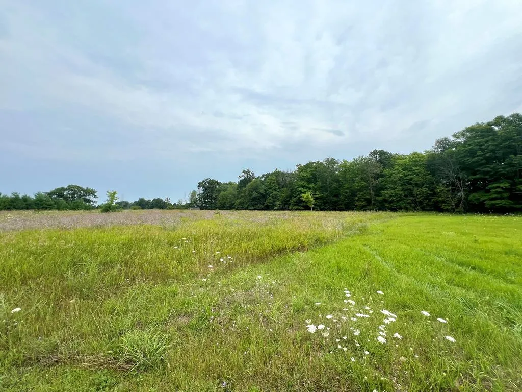 Tbd Indigo Rd, Egg Harbor Wi 54209, ,Unimproved Land,For Sale,Indigo Rd,143039