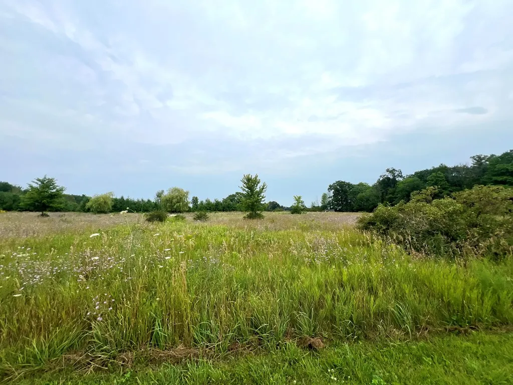 Tbd Indigo Rd, Egg Harbor Wi 54209, ,Unimproved Land,For Sale,Indigo Rd,143039
