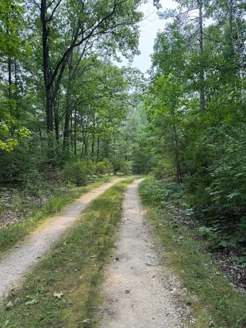 Pine Tree Rd, Sturgeon Bay, Wisconsin 54235, ,Unimproved Land,For Sale,E Pine Tree Rd,144368