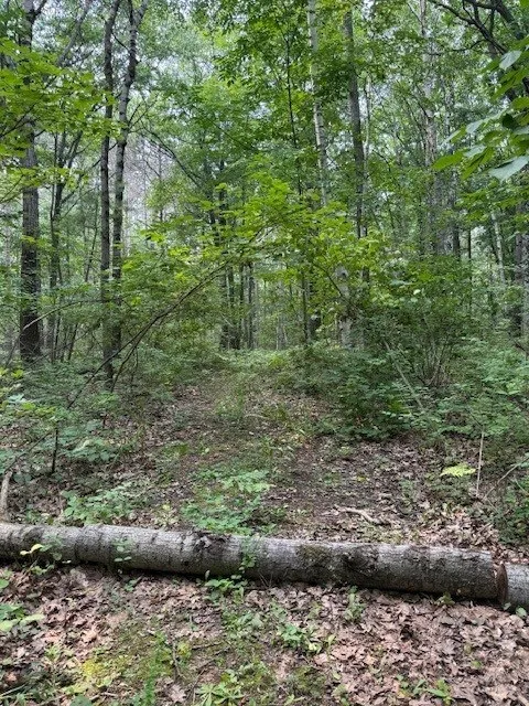 Pine Tree Rd, Sturgeon Bay, Wisconsin 54235, ,Unimproved Land,For Sale,E Pine Tree Rd,144368