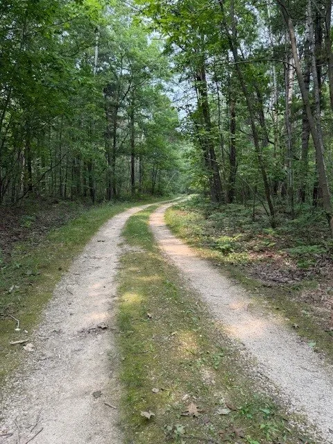 Pine Tree Rd, Sturgeon Bay, Wisconsin 54235, ,Unimproved Land,For Sale,E Pine Tree Rd,144368