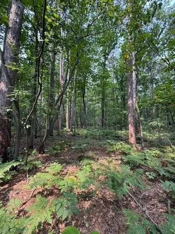 Pine Tree Rd, Sturgeon Bay, Wisconsin 54235, ,Unimproved Land,For Sale,E Pine Tree Rd,144368