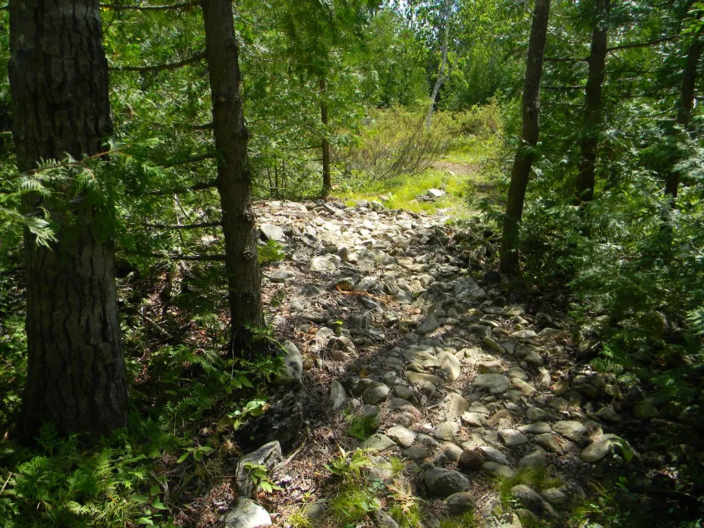 Lot #7 Lakewood Ln, Sister Bay Wi 54234, ,Unimproved Land,For Sale,Lakewood Ln,143331
