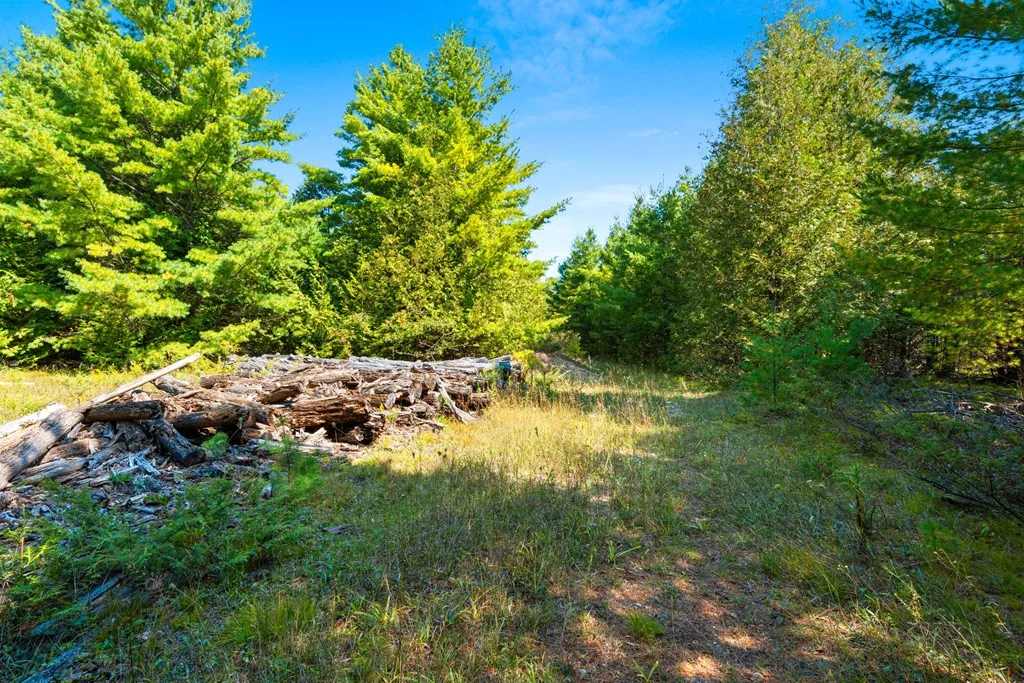 8352 Gardner Ct, Baileys Harbor, Wisconsin 54202, ,Unimproved Land,For Sale,Gardner Ct,144540