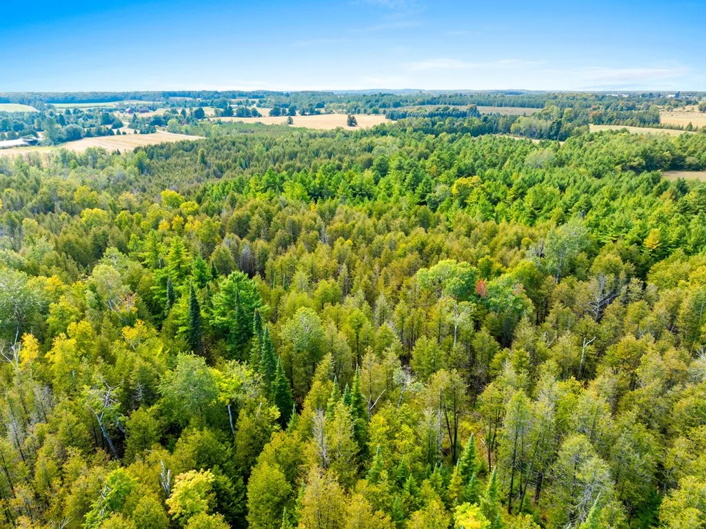 8352 Gardner Ct, Baileys Harbor, Wisconsin 54202, ,Unimproved Land,For Sale,Gardner Ct,144540