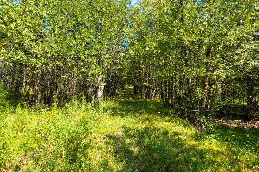 8352 Gardner Ct, Baileys Harbor, Wisconsin 54202, ,Unimproved Land,For Sale,Gardner Ct,144540