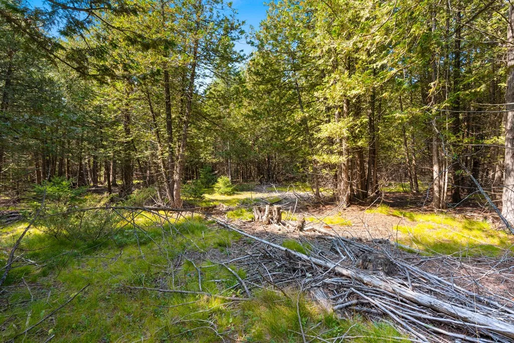 8352 Gardner Ct, Baileys Harbor, Wisconsin 54202, ,Unimproved Land,For Sale,Gardner Ct,144540