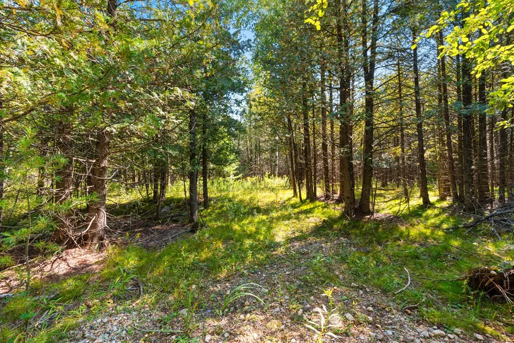 8352 Gardner Ct, Baileys Harbor, Wisconsin 54202, ,Unimproved Land,For Sale,Gardner Ct,144540