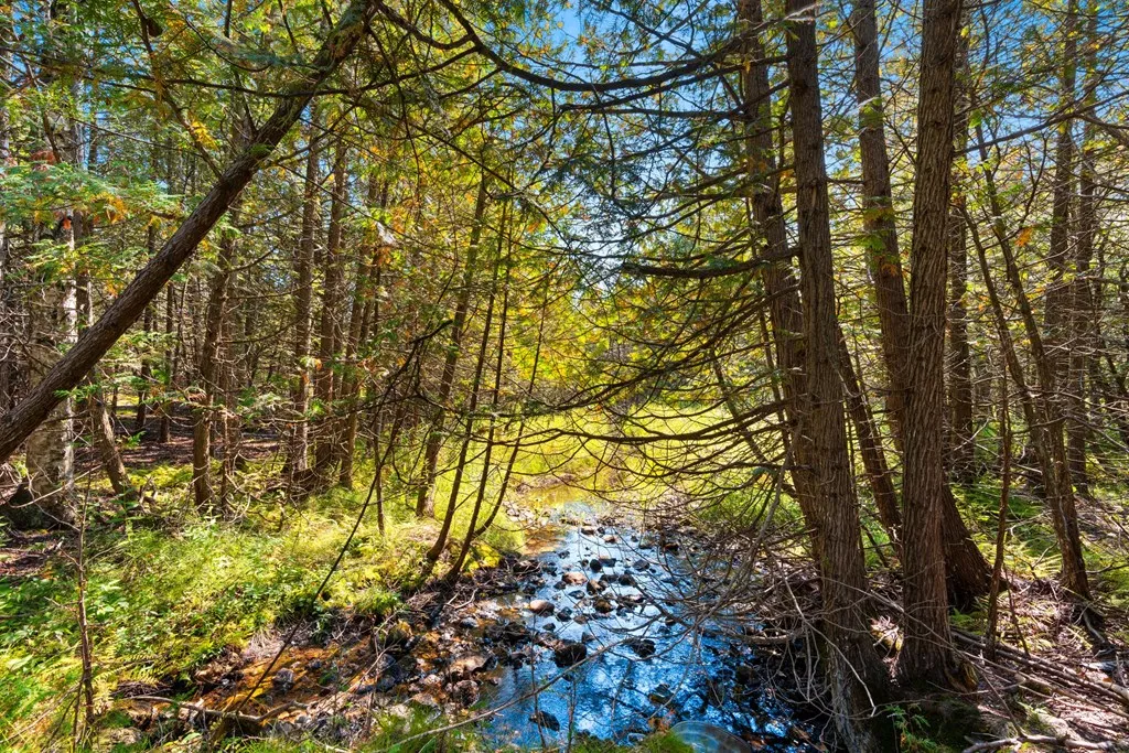8352 Gardner Ct, Baileys Harbor, Wisconsin 54202, ,Unimproved Land,For Sale,Gardner Ct,144540