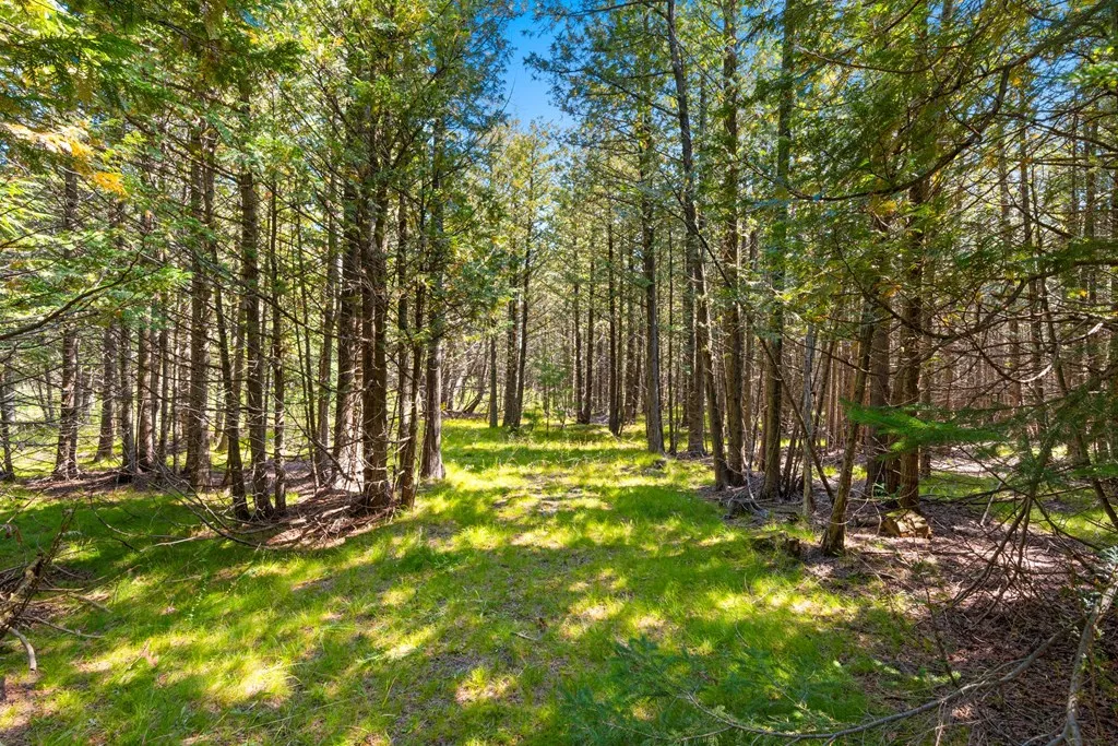 8352 Gardner Ct, Baileys Harbor, Wisconsin 54202, ,Unimproved Land,For Sale,Gardner Ct,144540