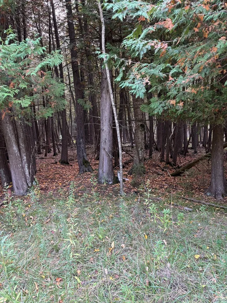 Lot 4 Sleepy Hollow Dr, Sturgeon Bay Wi 54235, ,Unimproved Land,For Sale,Ichabod Ln,141081