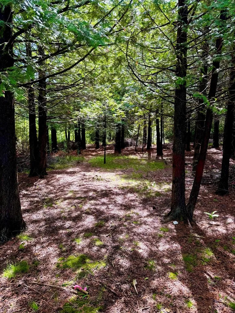 7404 Logerquist Rd, Baileys Harbor Wi 54202, ,Unimproved Land,For Sale,Logerquist Rd,141818