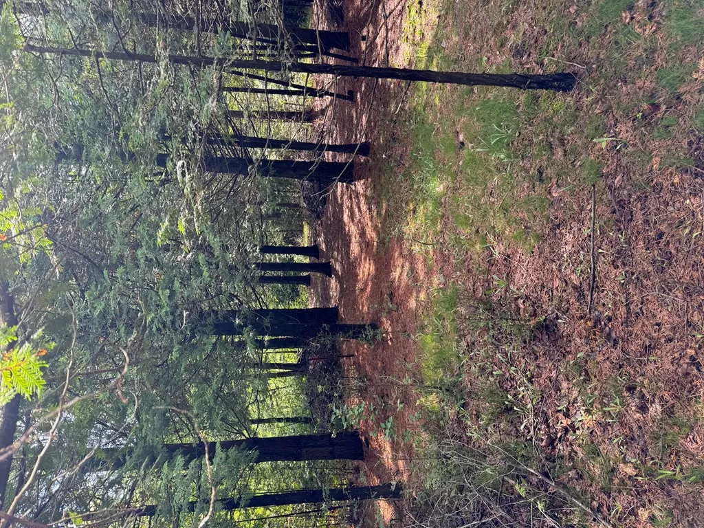 7404 Logerquist Rd, Baileys Harbor Wi 54202, ,Unimproved Land,For Sale,Logerquist Rd,141818