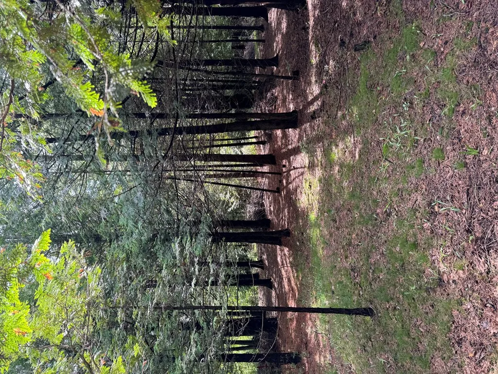 7404 Logerquist Rd, Baileys Harbor Wi 54202, ,Unimproved Land,For Sale,Logerquist Rd,141818