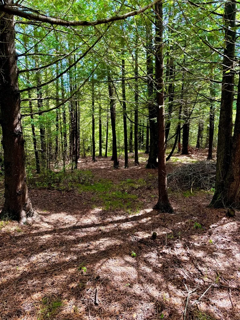 7404 Logerquist Rd, Baileys Harbor Wi 54202, ,Unimproved Land,For Sale,Logerquist Rd,141818