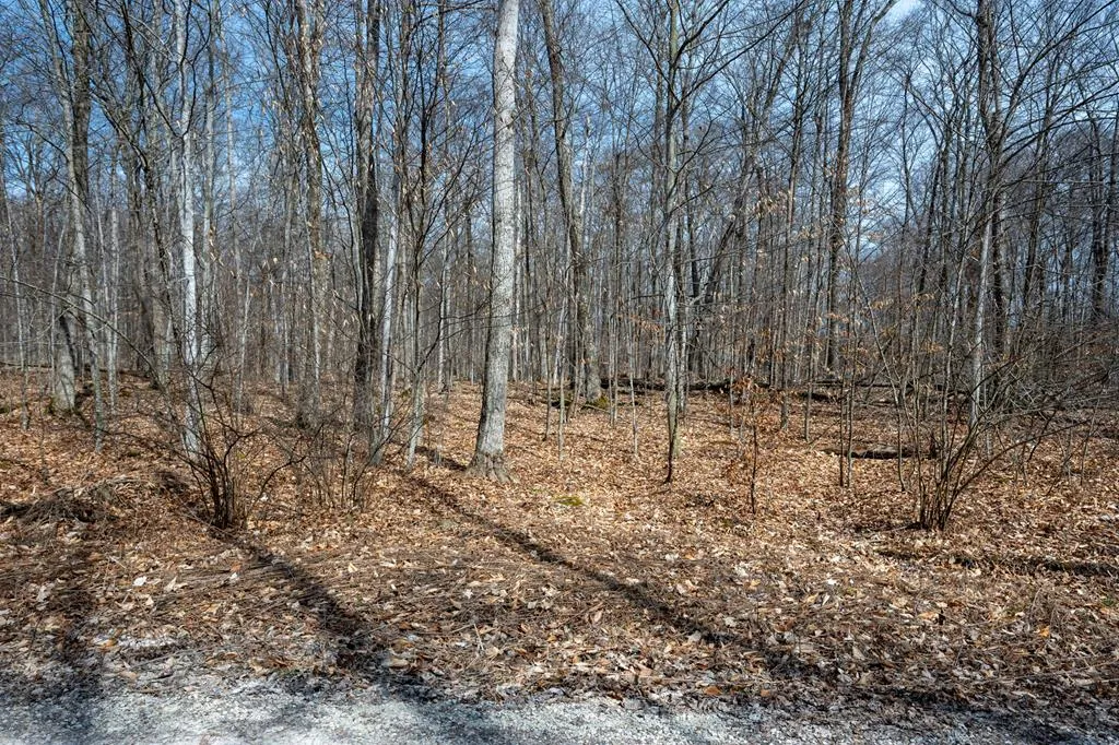 T/b/d All Creatures Ln, Baileys Harbor Wi 54202, ,Unimproved Land,For Sale,All Creatures Ln,141532