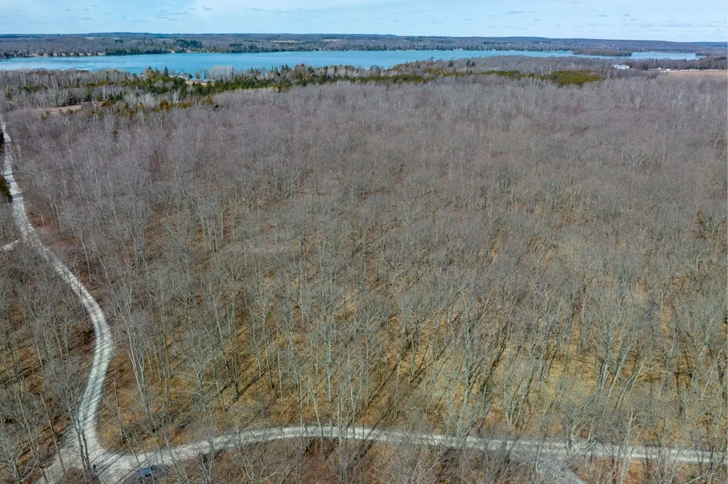 T/b/d All Creatures Ln, Baileys Harbor Wi 54202, ,Unimproved Land,For Sale,All Creatures Ln,141532