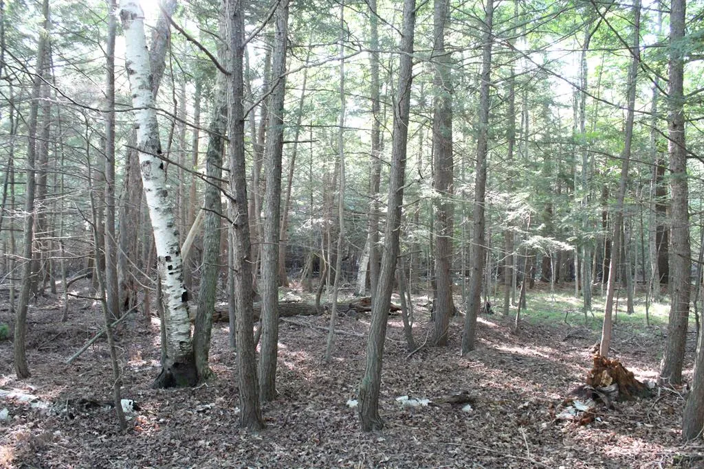 Lot 3 Gibraltar Rd, Fish Creek, Wisconsin 54212, ,Unimproved Land,For Sale,Gibraltar Rd,144447