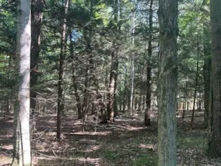 Tbd Creekside Ln, Egg Harbor, Wisconsin 54209, ,Unimproved Land,For Sale,Creekside Ln,144378