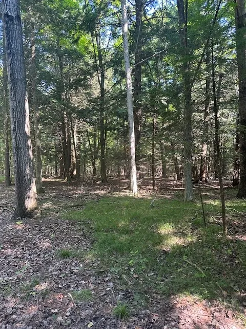 Tbd Creekside Ln, Egg Harbor, Wisconsin 54209, ,Unimproved Land,For Sale,Creekside Ln,144378