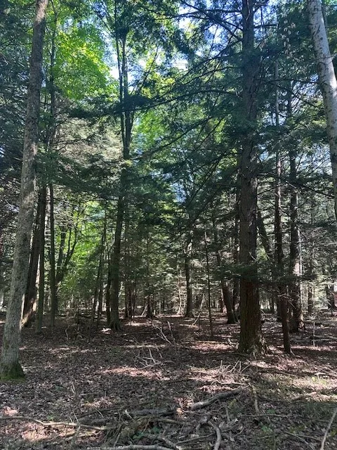 Tbd Creekside Ln, Egg Harbor, Wisconsin 54209, ,Unimproved Land,For Sale,Creekside Ln,144378