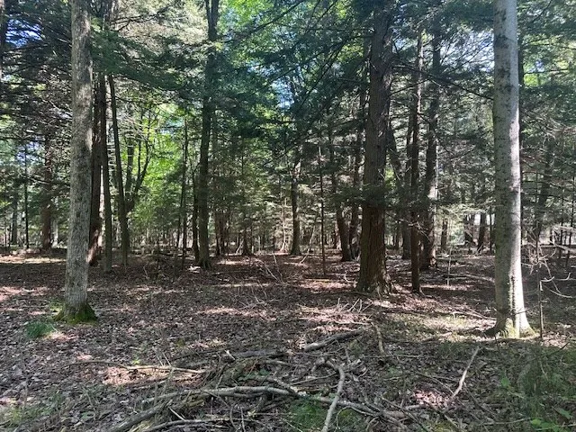 Tbd Creekside Ln, Egg Harbor, Wisconsin 54209, ,Unimproved Land,For Sale,Creekside Ln,144378