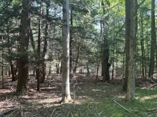 Tbd Creekside Ln, Egg Harbor, Wisconsin 54209, ,Unimproved Land,For Sale,Creekside Ln,144378