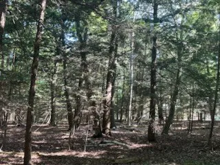 Tbd Creekside Ln, Egg Harbor, Wisconsin 54209, ,Unimproved Land,For Sale,Creekside Ln,144378