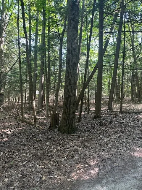 Tbd Creekside Ln, Egg Harbor, Wisconsin 54209, ,Unimproved Land,For Sale,Creekside Ln,144378