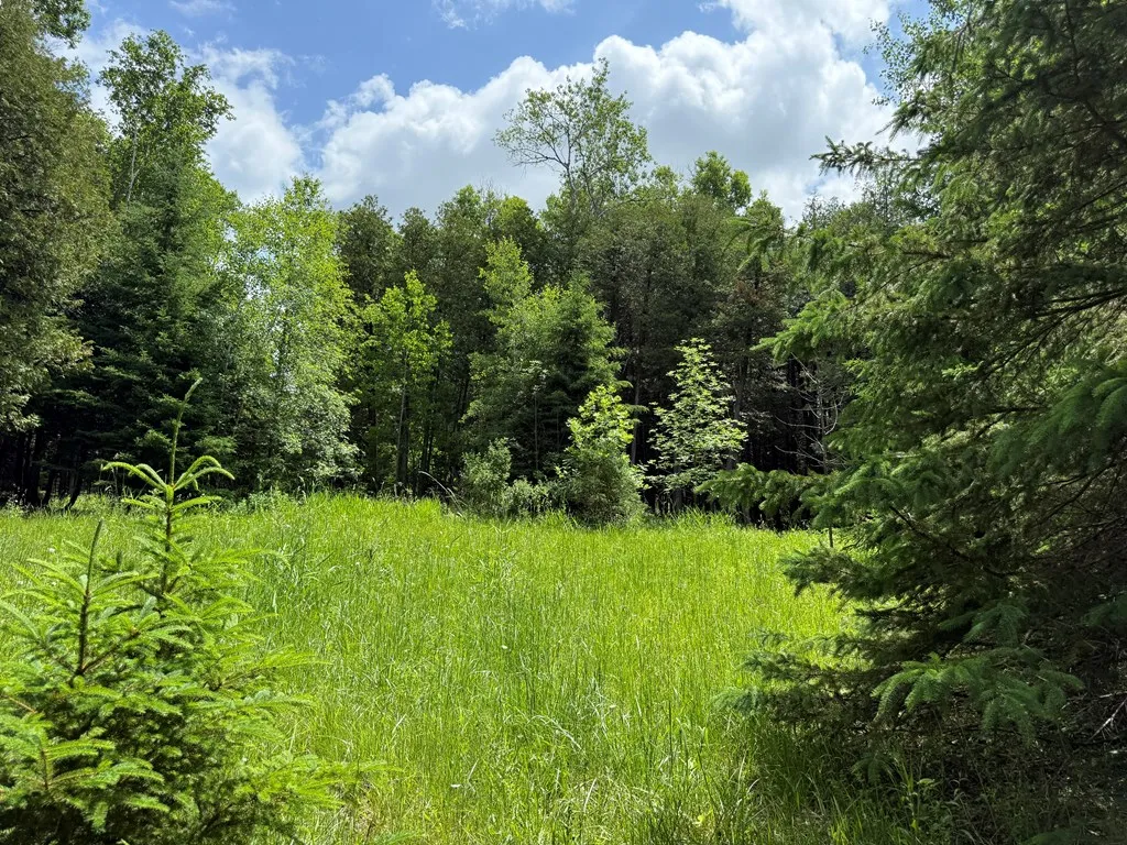 648 Ichabod Ln, Forestville, Wisconsin 54235, ,Unimproved Land,For Sale,Ichabod Ln,144151