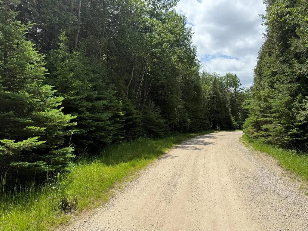 648 Ichabod Ln, Forestville, Wisconsin 54235, ,Unimproved Land,For Sale,Ichabod Ln,144151