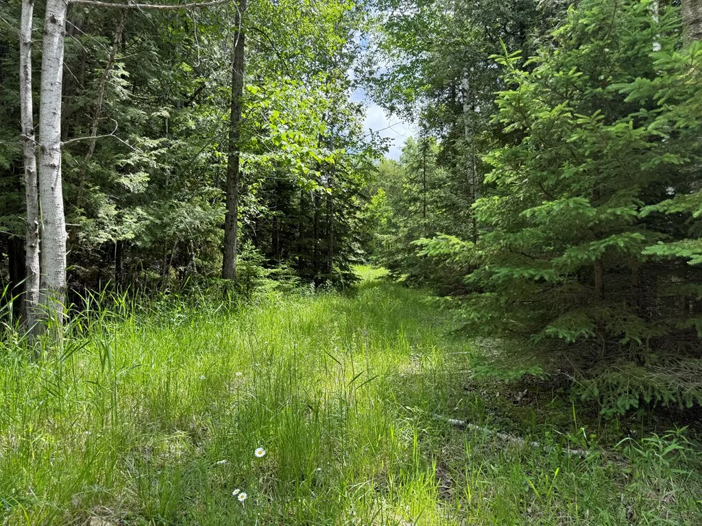 648 Ichabod Ln, Forestville, Wisconsin 54235, ,Unimproved Land,For Sale,Ichabod Ln,144151
