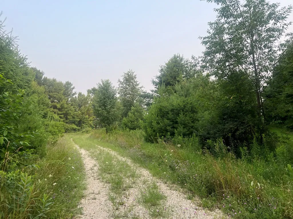 3621 Juddville Rd, Fish Creek, Wisconsin 54212, ,Unimproved Land,For Sale,Juddville Rd,144371