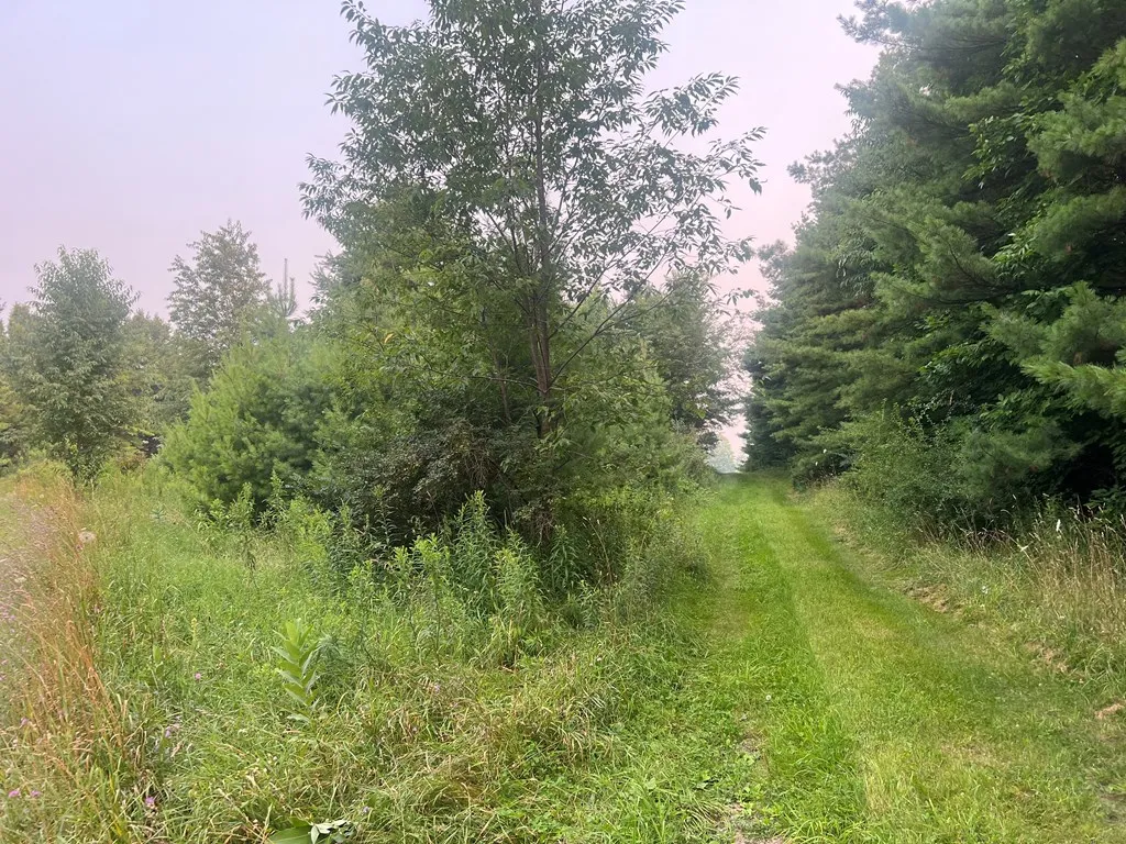 3621 Juddville Rd, Fish Creek, Wisconsin 54212, ,Unimproved Land,For Sale,Juddville Rd,144371