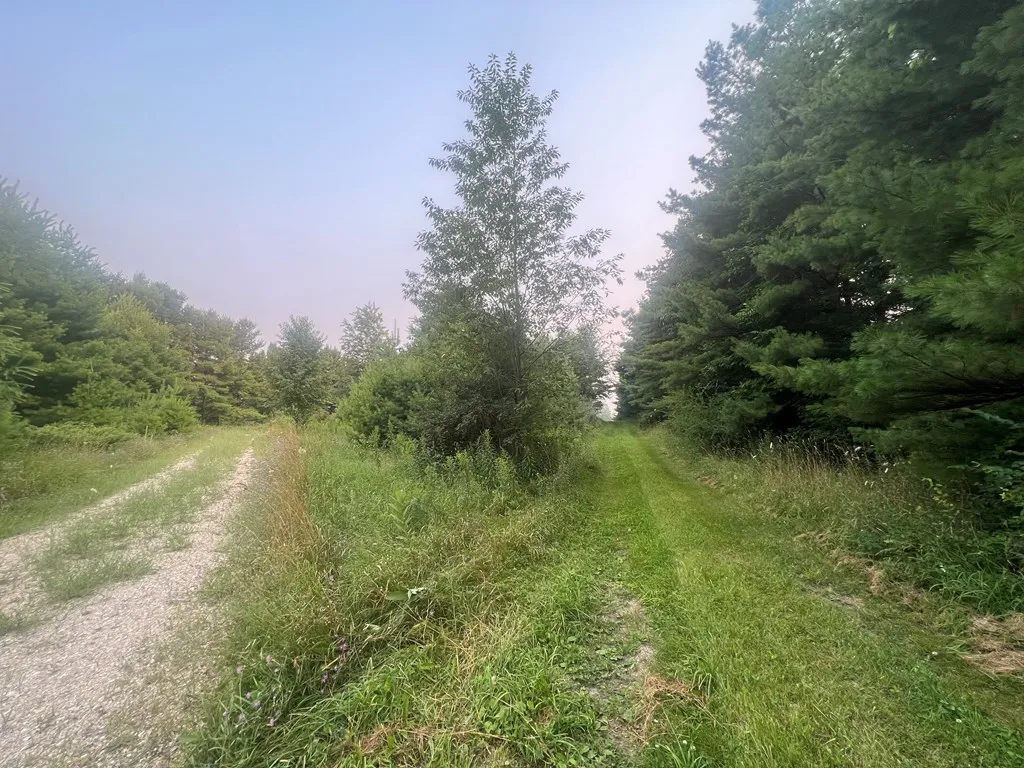 3621 Juddville Rd, Fish Creek, Wisconsin 54212, ,Unimproved Land,For Sale,Juddville Rd,144371