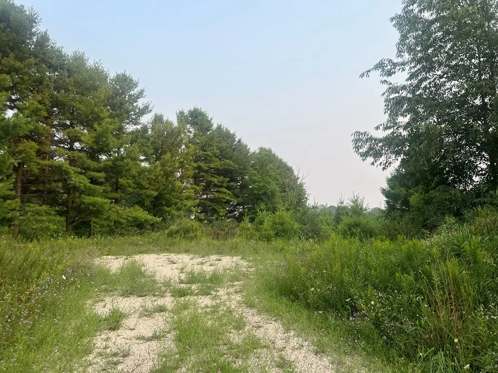 3621 Juddville Rd, Fish Creek, Wisconsin 54212, ,Unimproved Land,For Sale,Juddville Rd,144371
