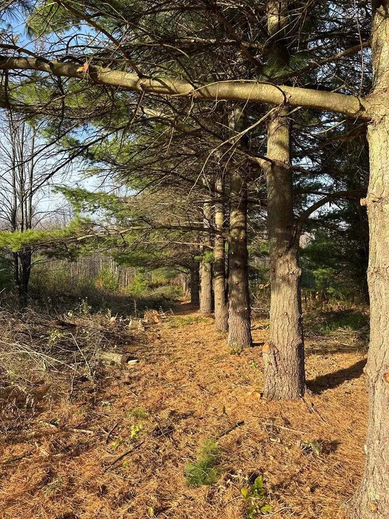 3621 Juddville Rd, Fish Creek, Wisconsin 54212, ,Unimproved Land,For Sale,Juddville Rd,144371