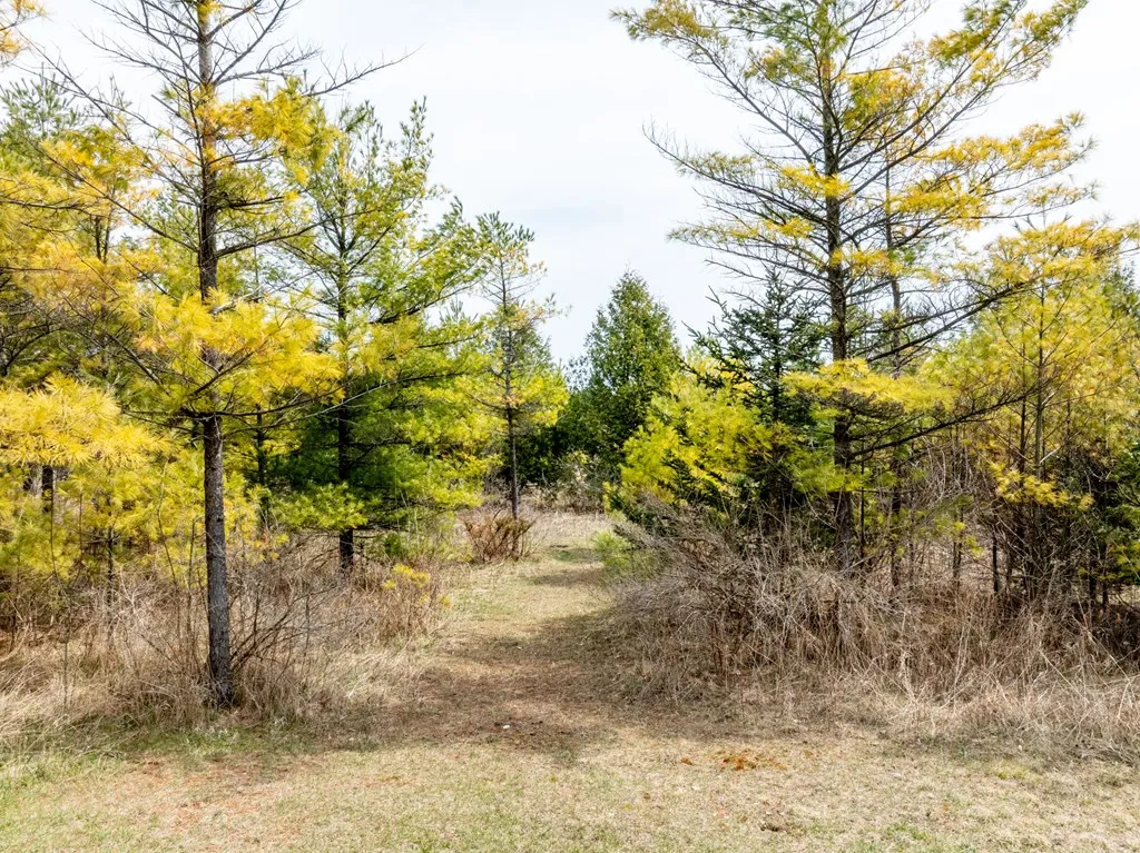 8770 W Meadow Rd, Baileys Harbor Wi 54202, 3 Bedrooms Bedrooms, ,2 BathroomsBathrooms,Inland-Residential,For Sale,W Meadow Rd,143844