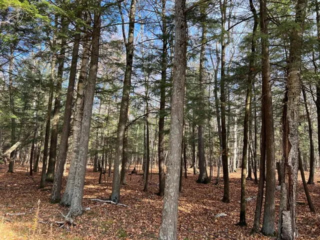 Tbd Cliff Top Rd, Sturgeon Bay Wi 54235, ,Unimproved Land,For Sale,Cliff Top Rd,141193