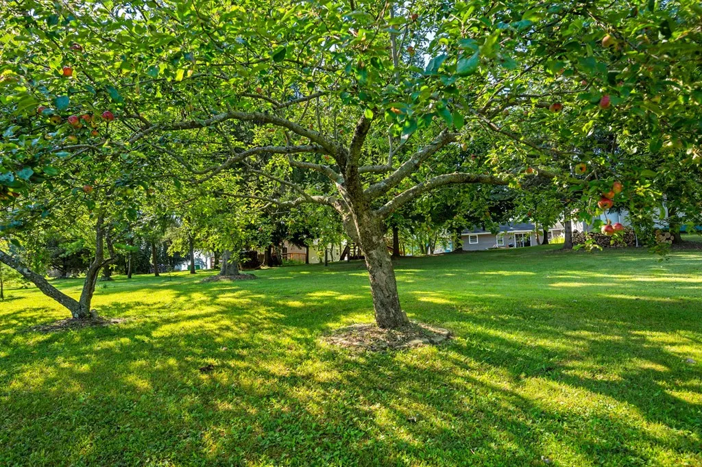 4740 Dunn Rd, Sturgeon Bay, Wisconsin 54235, 3 Bedrooms Bedrooms, ,2 BathroomsBathrooms,Inland-Residential,For Sale,Dunn Rd,144500