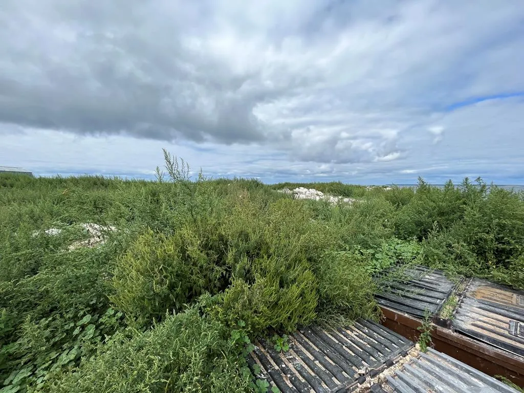 0 Other, Egg Harbor Wi 54209, ,Unimproved Land,For Sale,Other,141028
