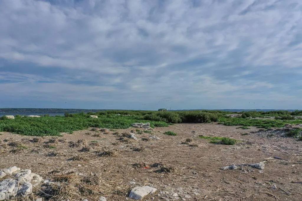 0 Other, Egg Harbor Wi 54209, ,Unimproved Land,For Sale,Other,141028