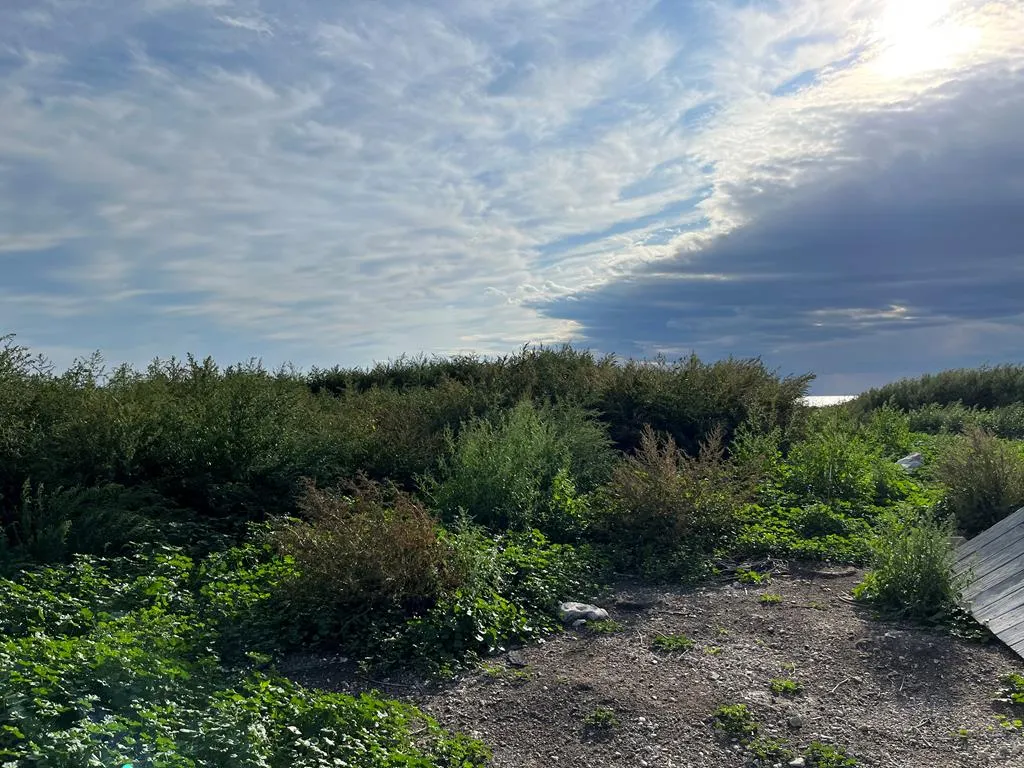 0 Other, Egg Harbor Wi 54209, ,Unimproved Land,For Sale,Other,141028