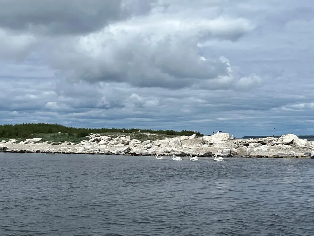 0 Other, Egg Harbor Wi 54209, ,Unimproved Land,For Sale,Other,141028
