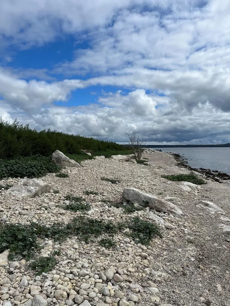 0 Other, Egg Harbor Wi 54209, ,Unimproved Land,For Sale,Other,141028