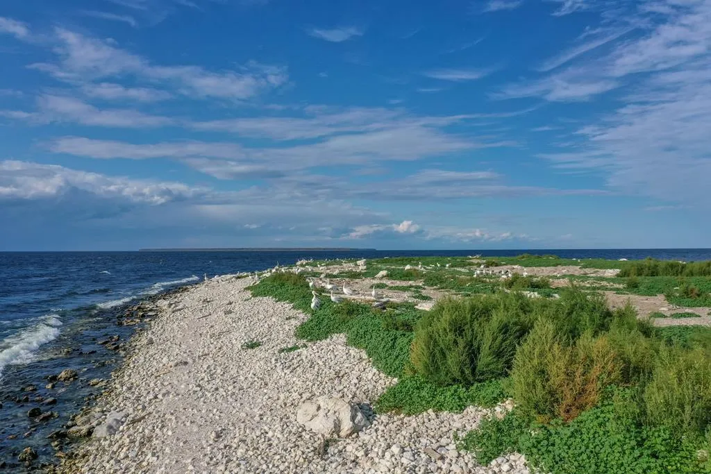0 Other, Egg Harbor Wi 54209, ,Unimproved Land,For Sale,Other,141028